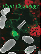 Plant Physiology