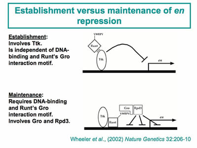 fig2