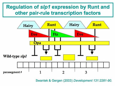 fig3