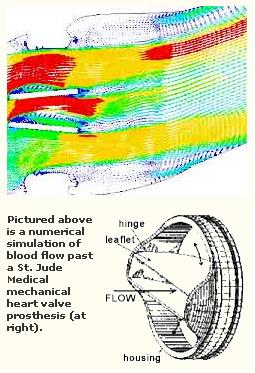 biomech