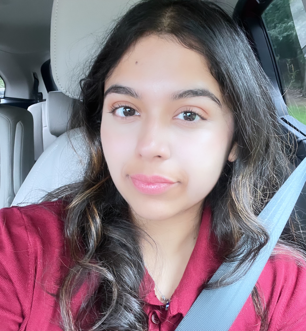 Samaira image