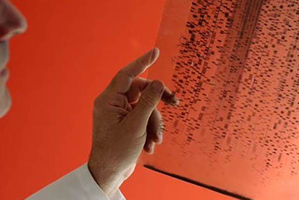 A person holds a translucent sheet with DNA sequencing patterns against a vibrant red background. The scene conveys focus and scientific inquiry.