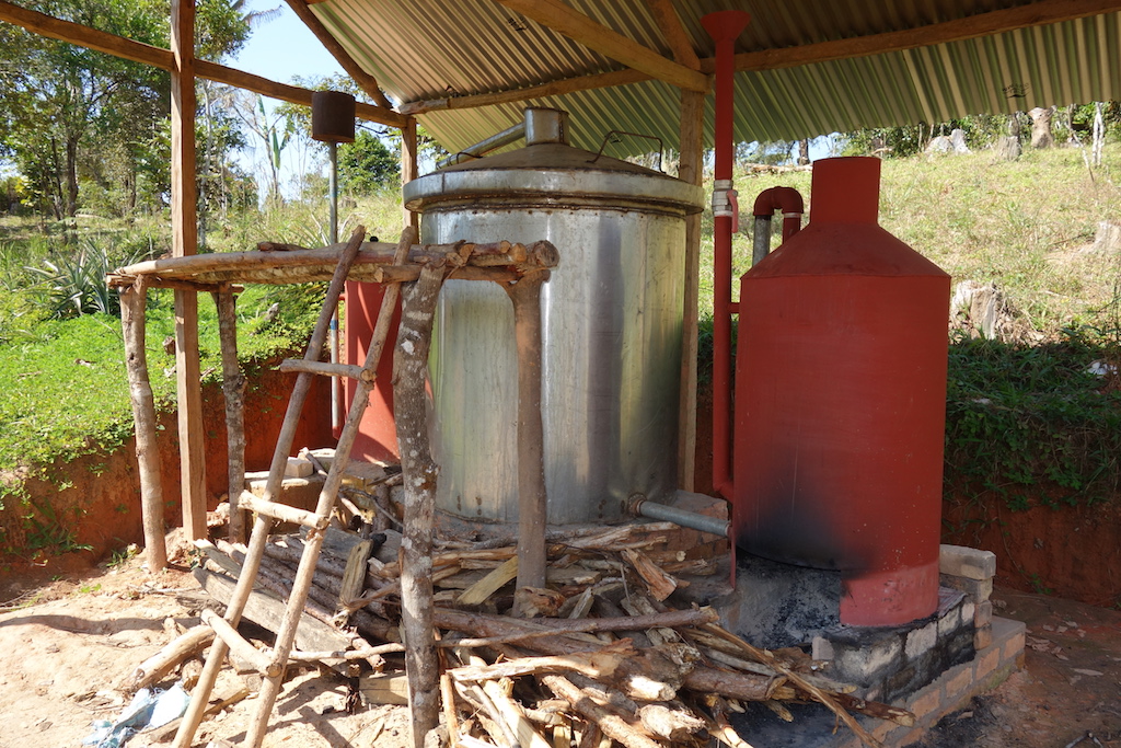 Essential Oil Production