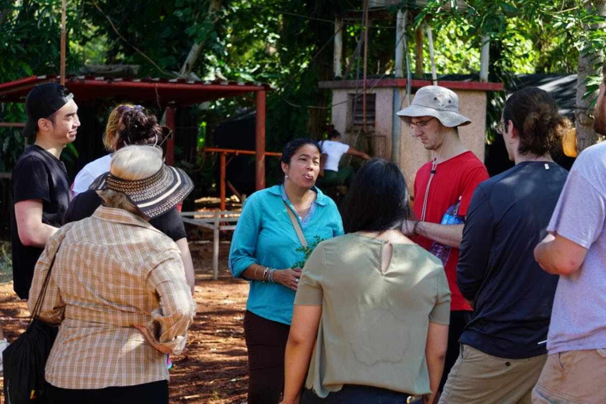 Sustainability, Art, Culture in Cuba