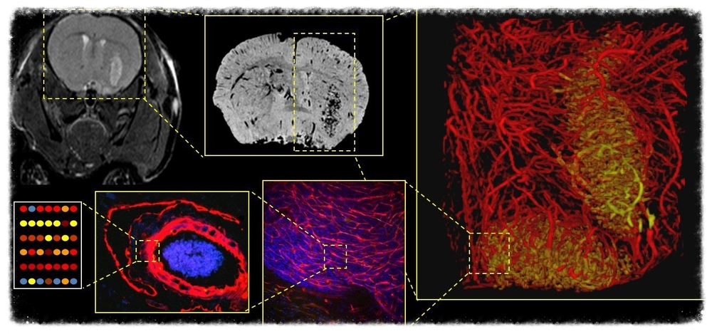 multiscale