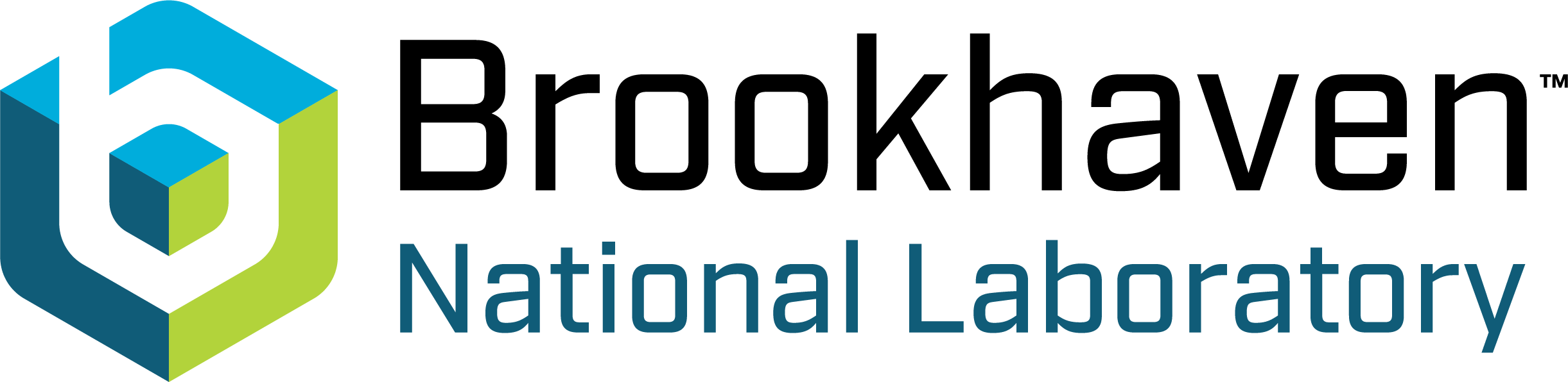 bnl logo