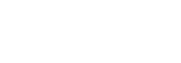 Stony Brook Logo