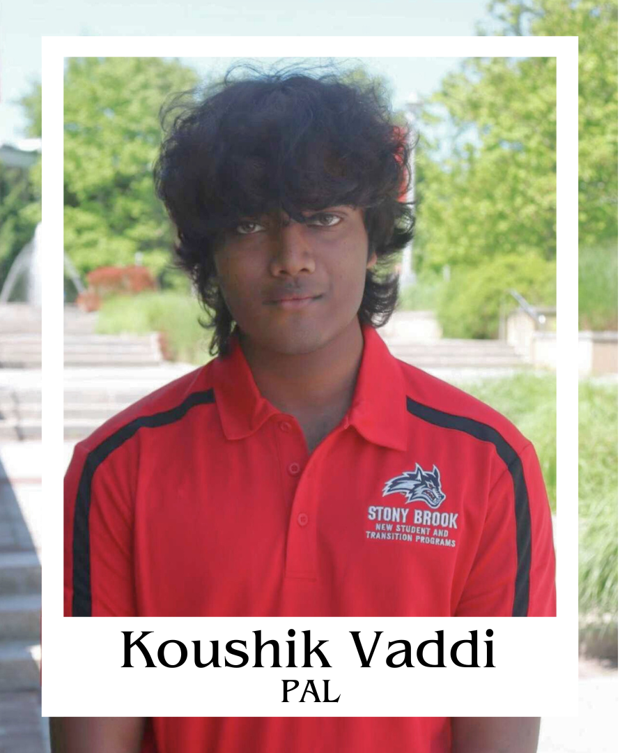 Koushik Vaddi