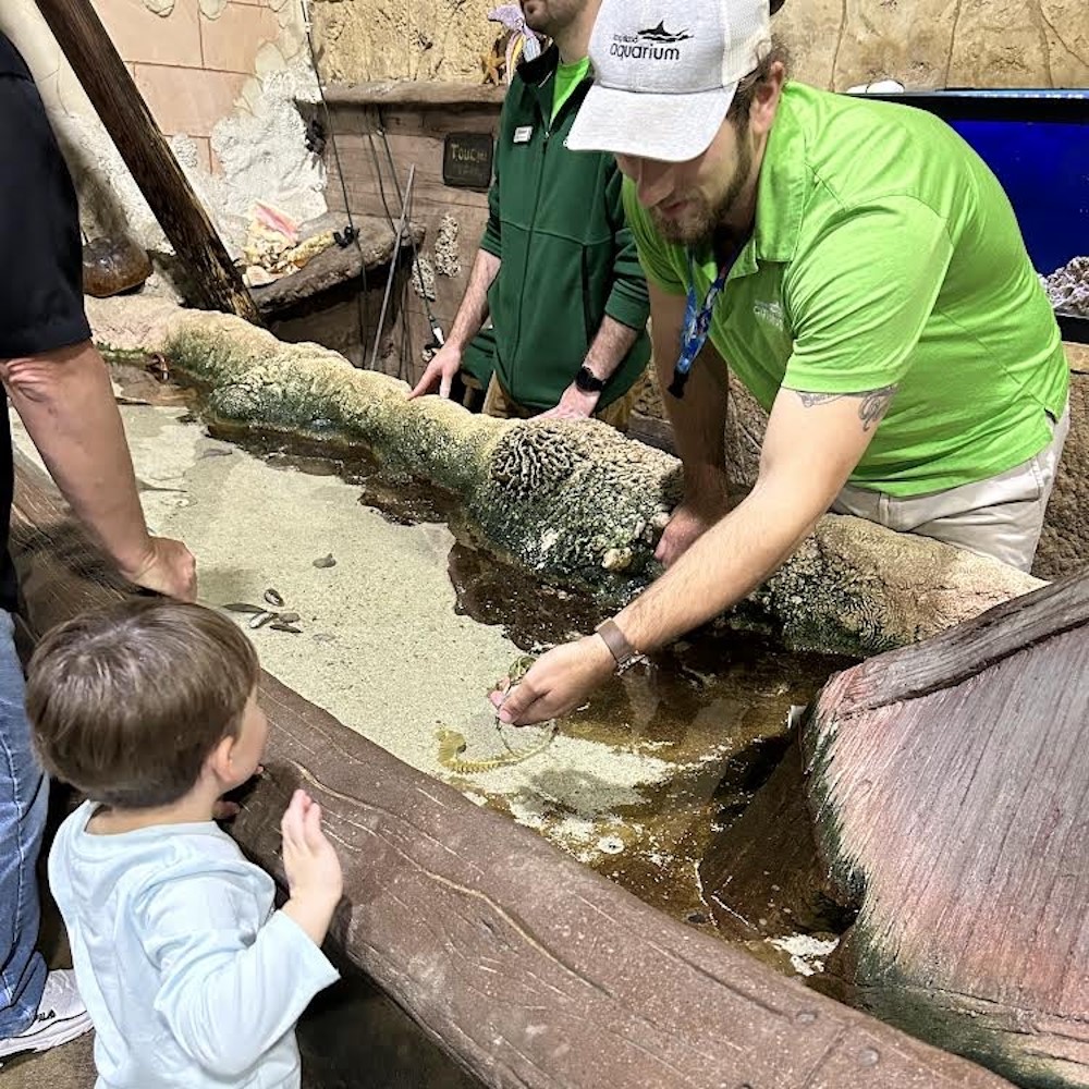 Steven Silverman at the Long Island Aquarium