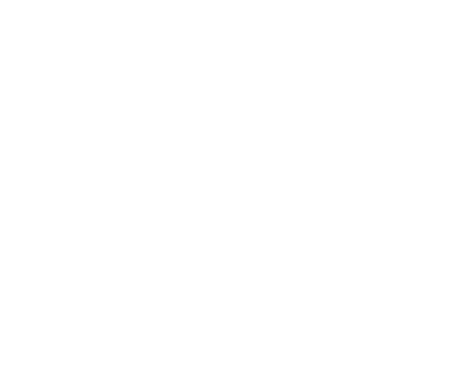 stony brook university logo